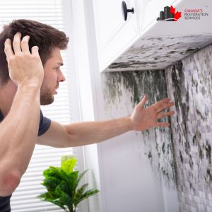 mold removal barrie