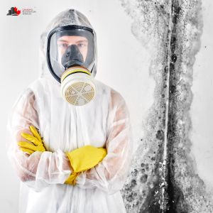 Mold removal service provider in Barrie Ontario