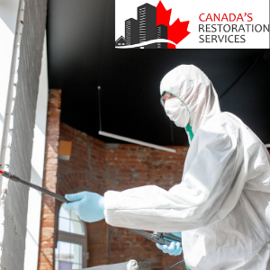 Canada`s Restoration Services