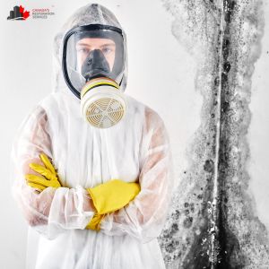 Mold removal in Barrie