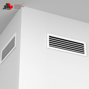 mold removal ottawa