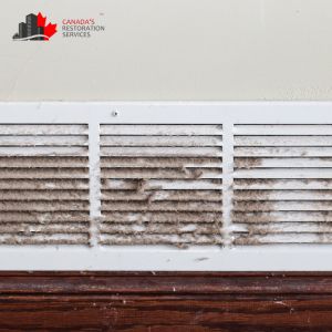 mold removal toronto