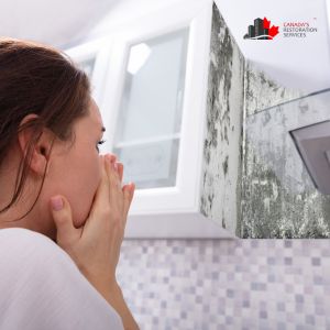 mold removal toronto
