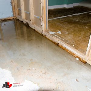 water damage toronto