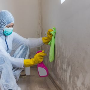The Dangers of Black Mold and What Can it Do to You?