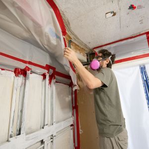 Does Professional Mold Removal in Toronto Remove 100% of Mold?