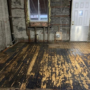 mold removal services