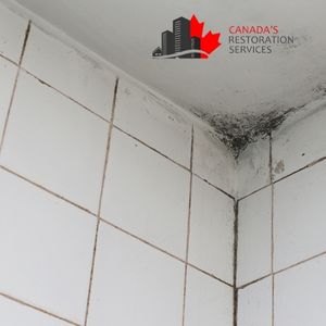 shower mold removal Toronto