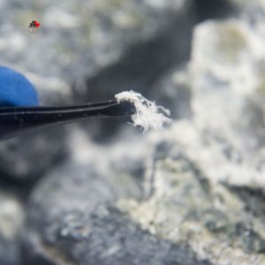 How to Safely Renovate Your Toronto Home with Asbestos Present