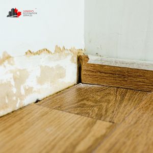 water damage brampton