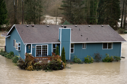 Basement Flood Cleanup Services