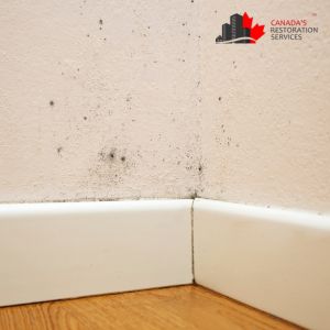 water damage montreal