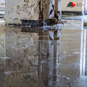 water damage ottawa