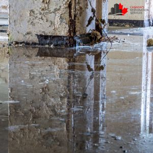 water damage ottawa