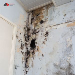 water damage ottawa