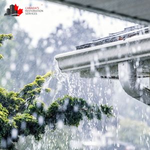 water damage toronto