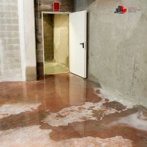 water damage toronto