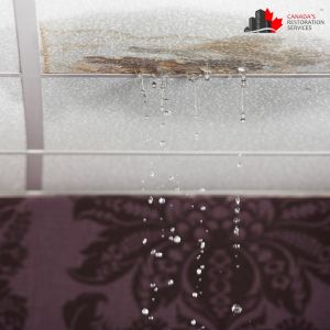 water damage toronto