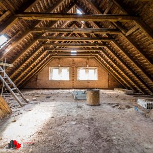 water damage toronto