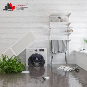 water damage toronto