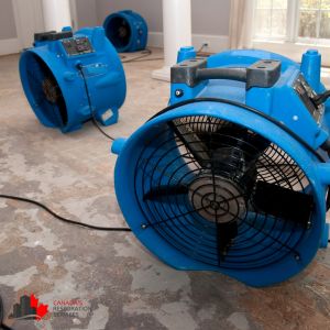 Water damage restoration job in Toronto.