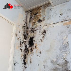 water damage vaughan