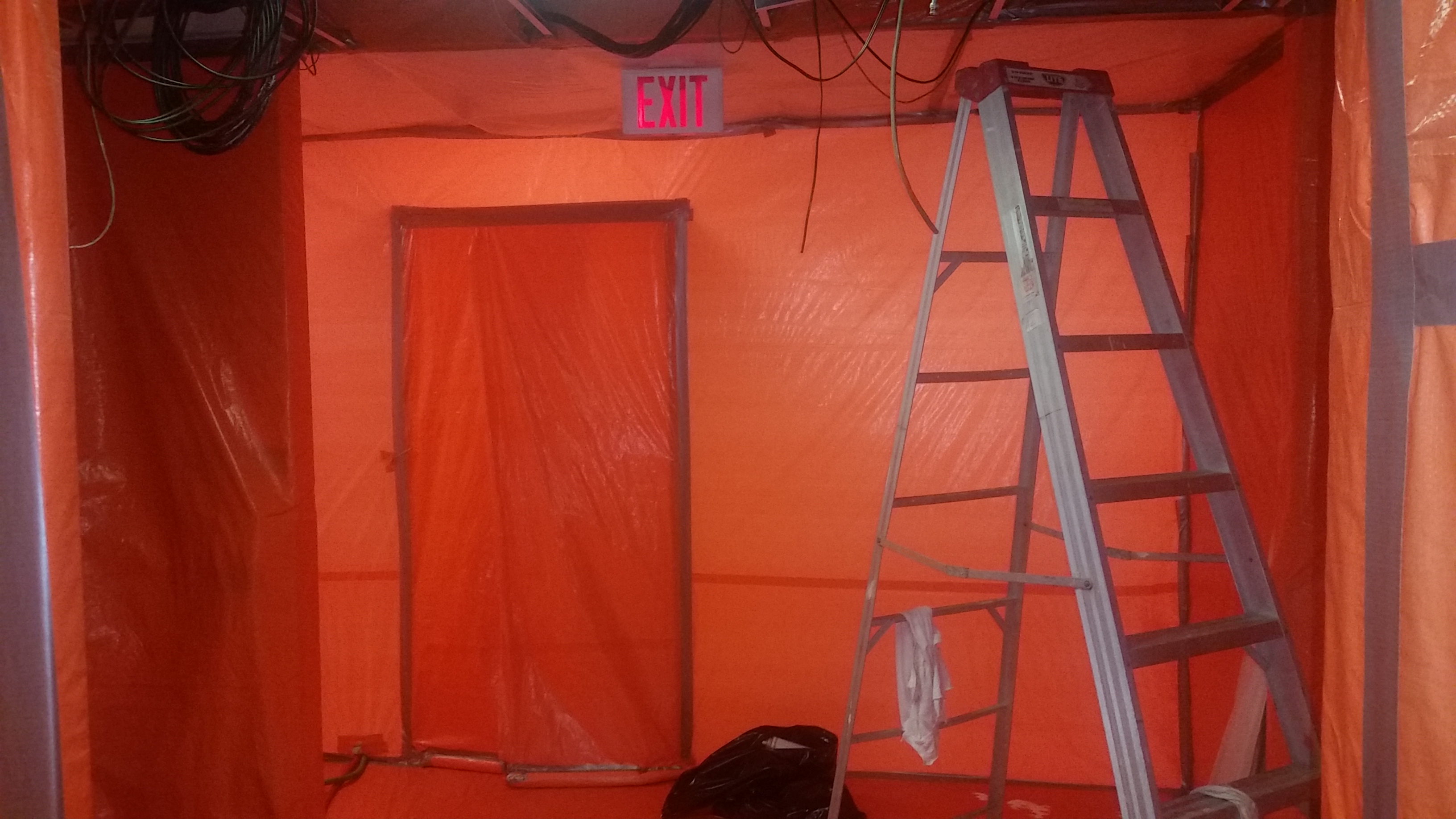 mold removal Toronto