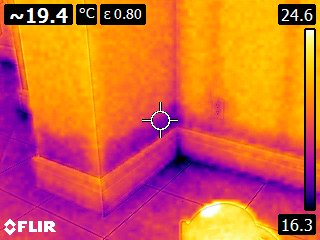 mold testing Toronto