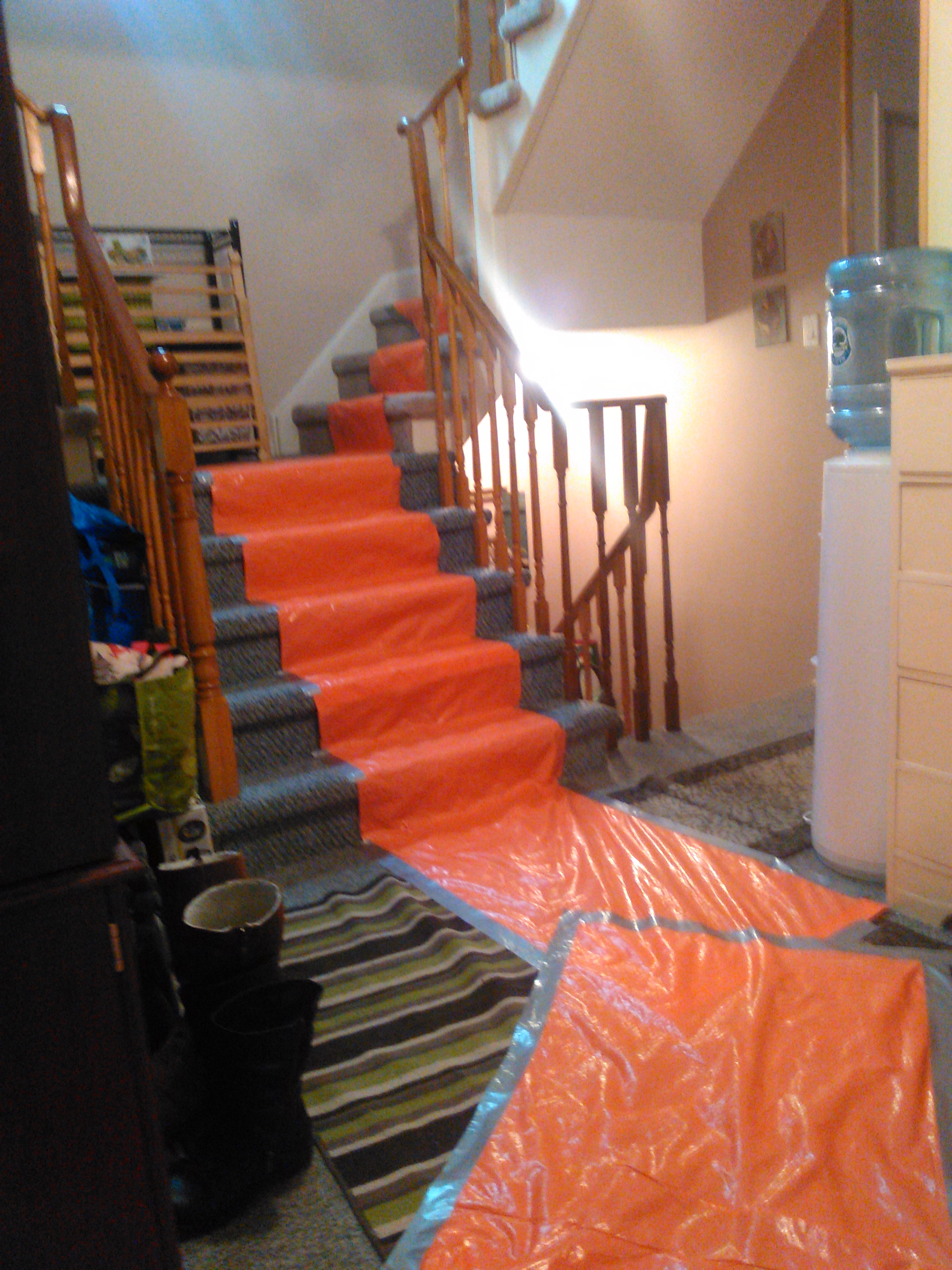 mold removal services Toronto