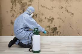 HOW IS MOLD REMOVAL COST DETERMINED?