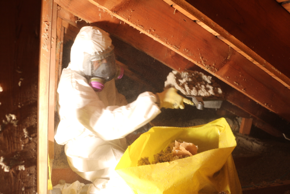 asbestos testing in fort saskatchewan, asbesots insulation, asbestos removal cost