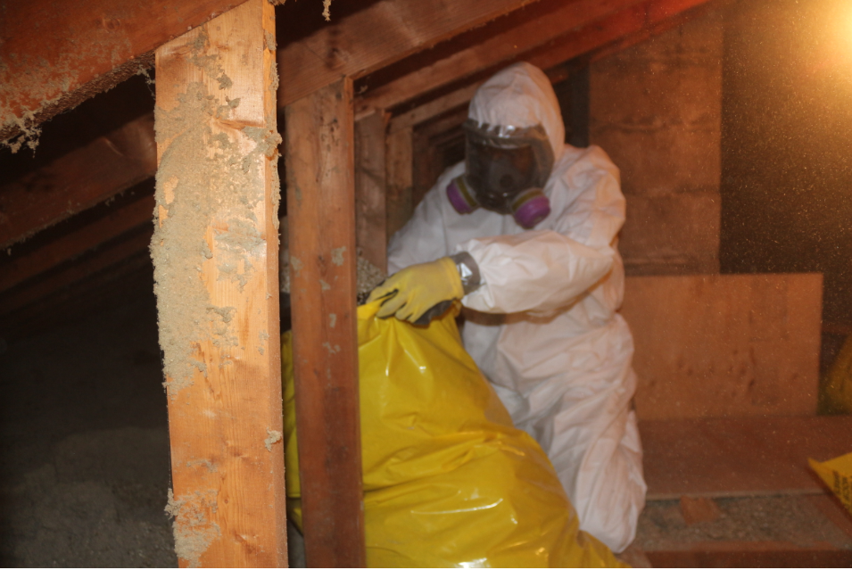 asbestos removal services
