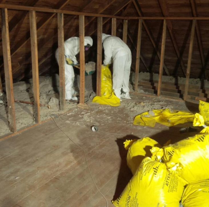 asbestos dangers, asbestos removal, asbestos abatement, asbestos testing ottawa, asbestos removal ottawa, vermiculite