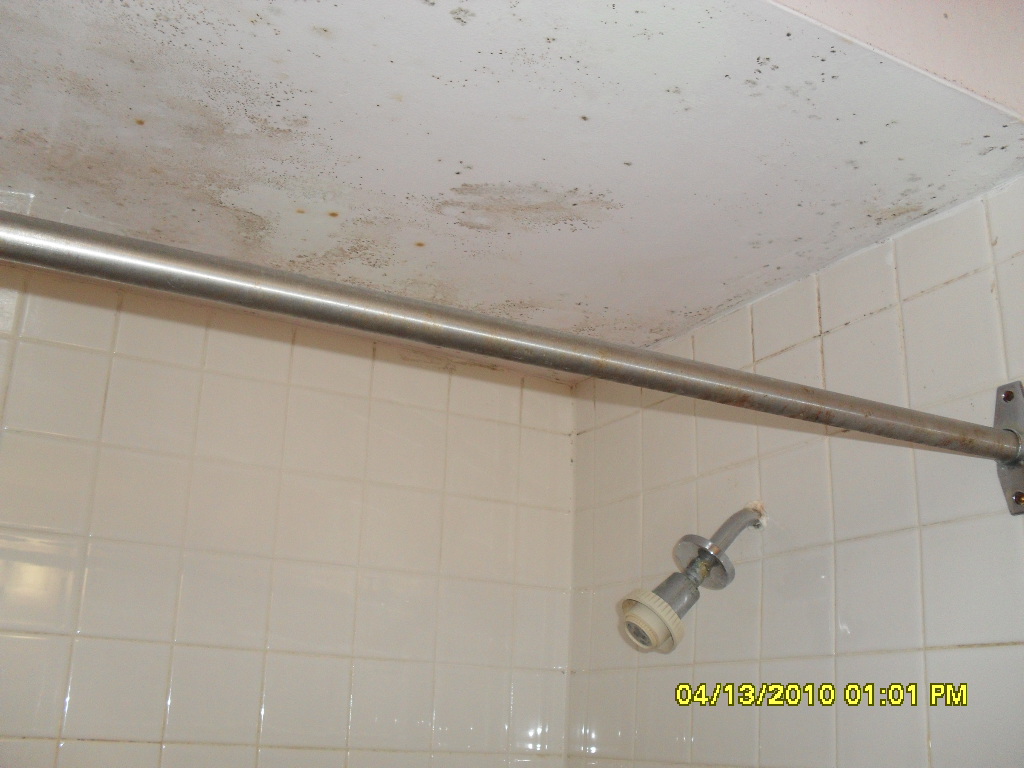 Mold in Shower