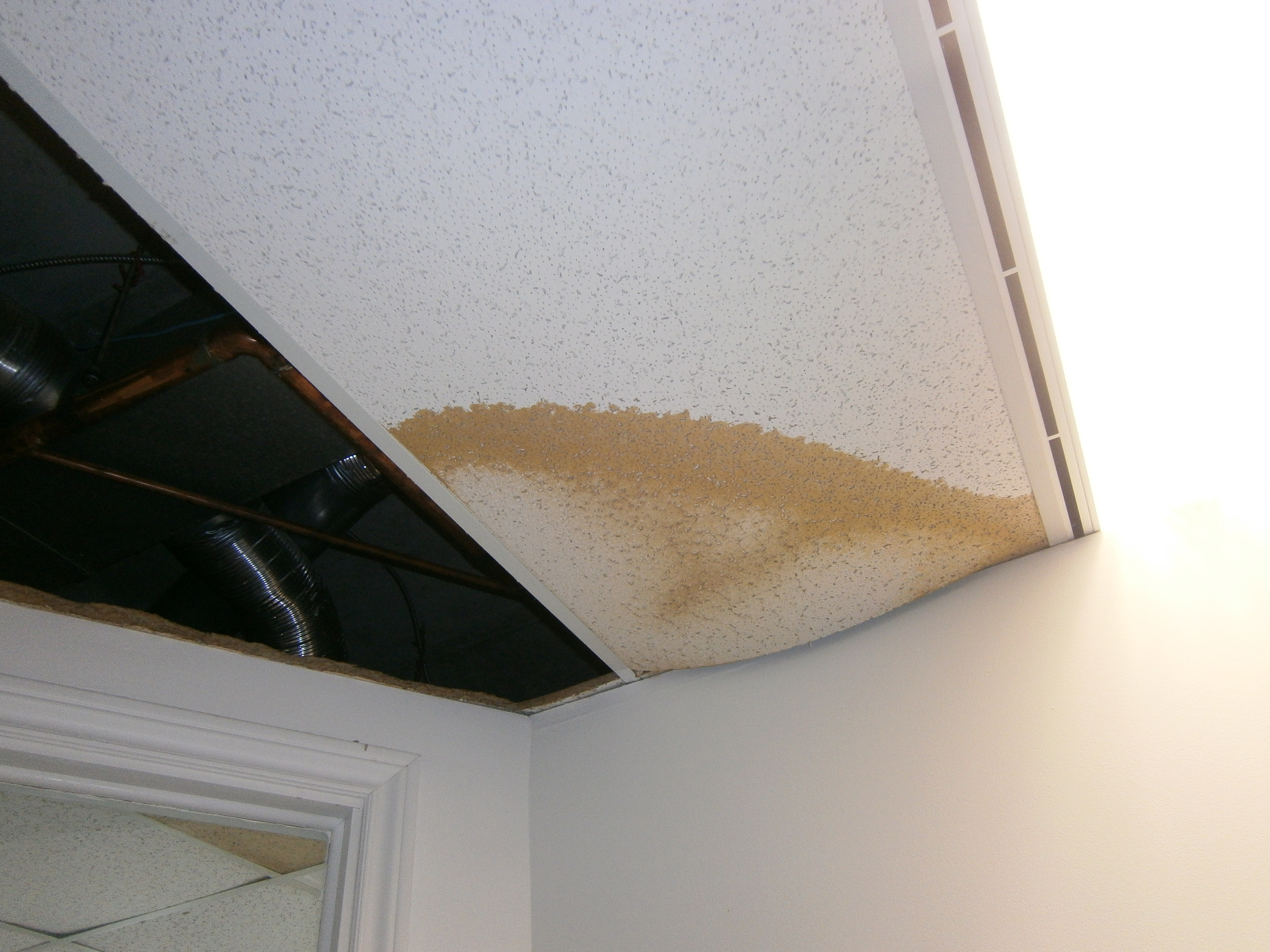 Ceiling Mold