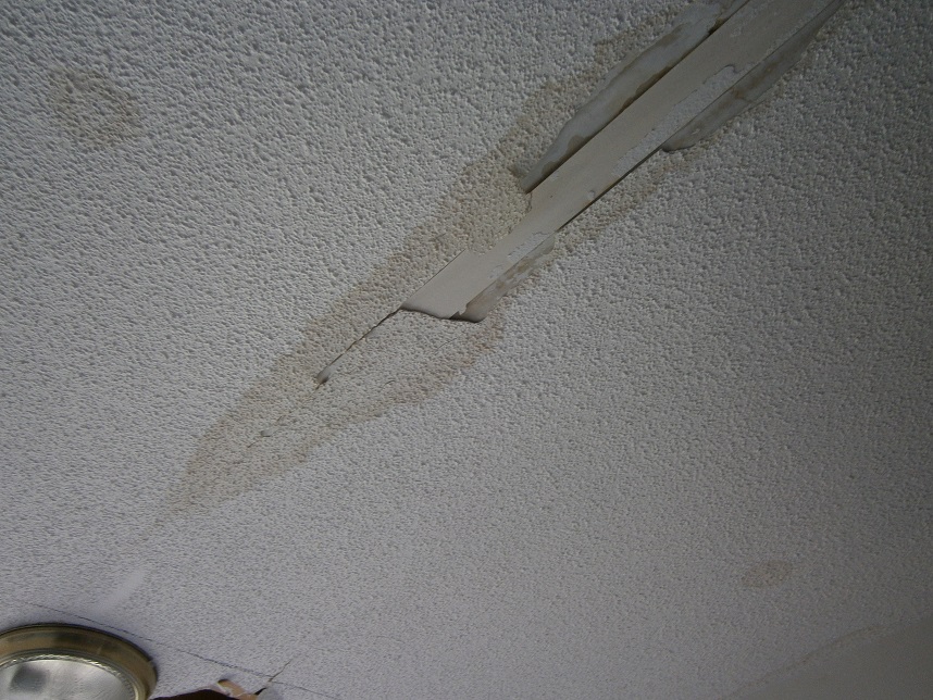 Mold in Attic