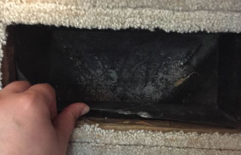 asbestos removal services