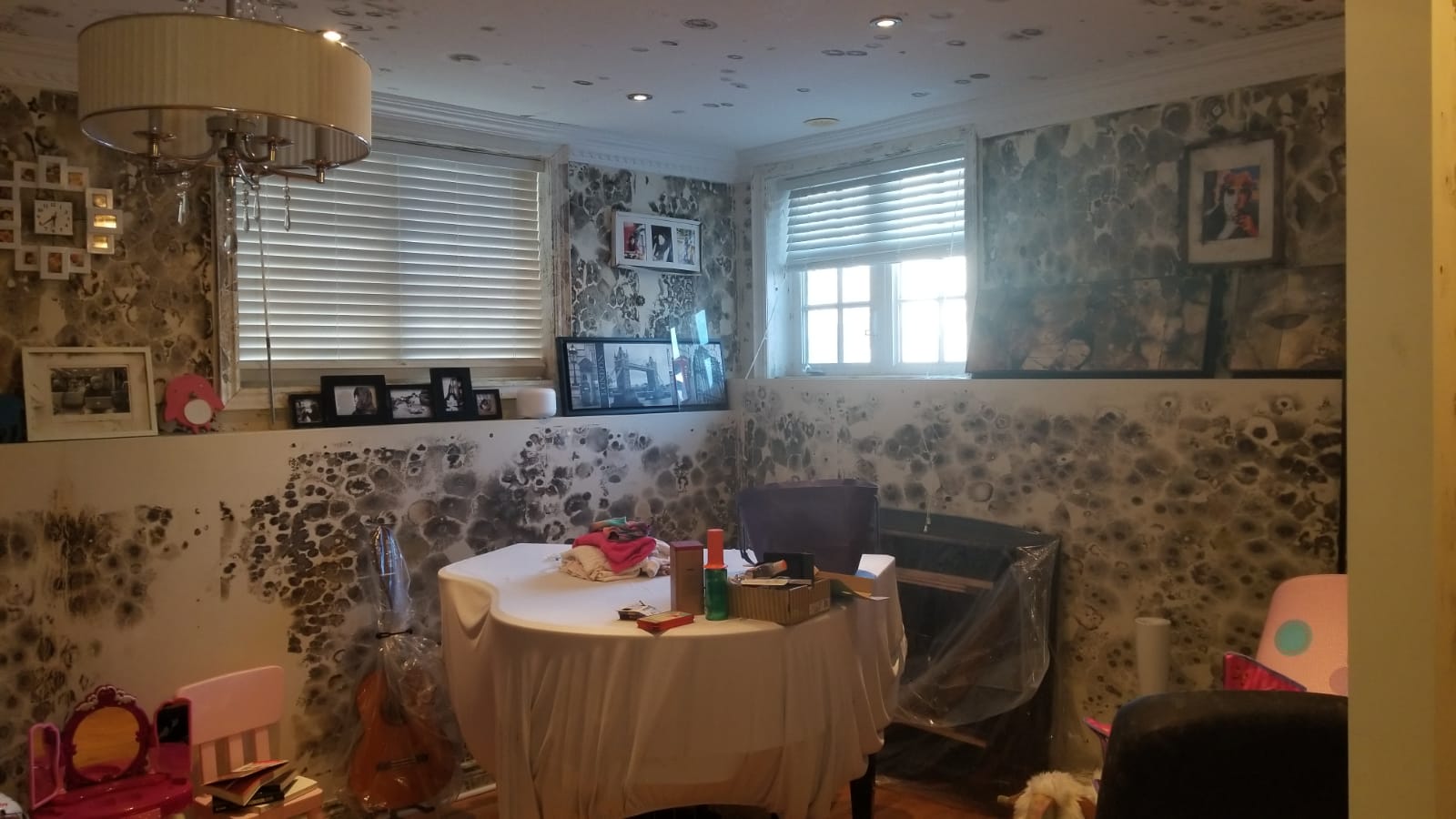 mould remediation Chambly 