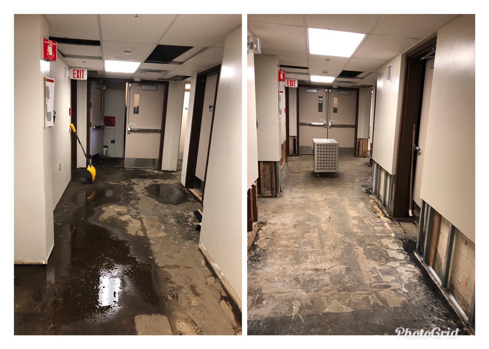 water damage restoration Edmonton