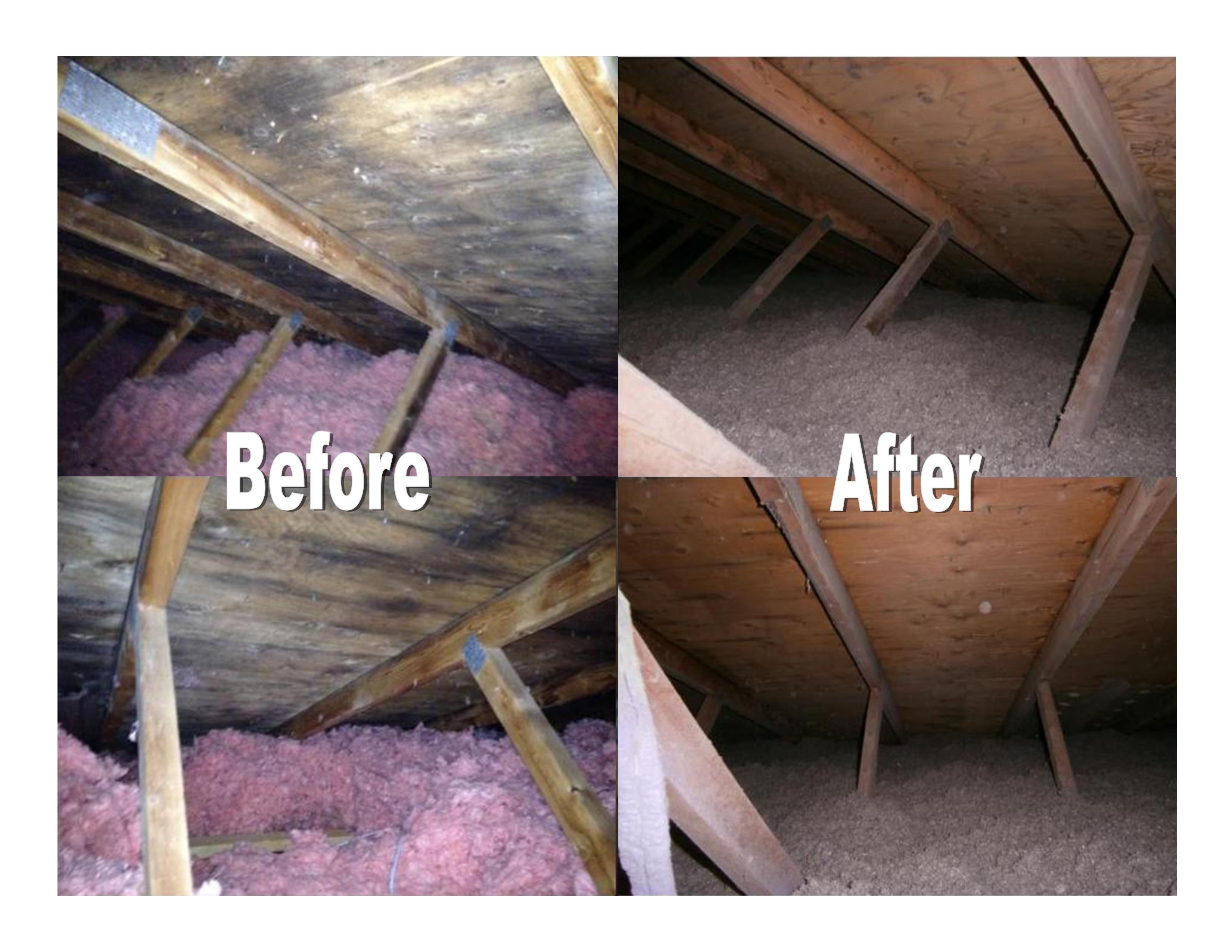 TORONTO MOLD REMOVAL ATTIC - Before and After