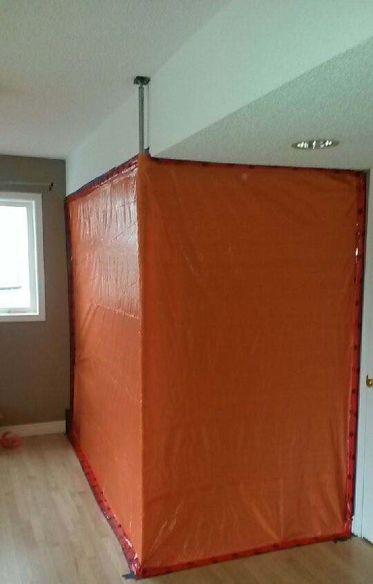 mold removal Toronto