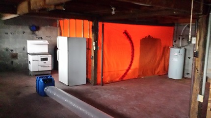 mold remediation services Toronto