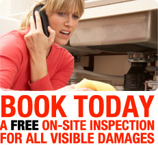 mold inspection