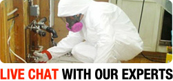 mold testing and removal services